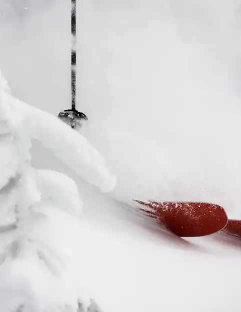 altTexts.HDTTownHouse002